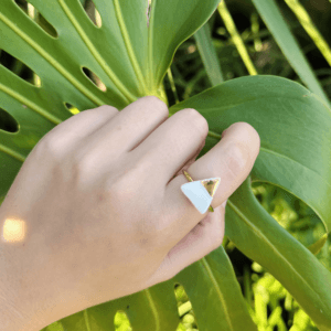 Anel Porcelana & Ouro