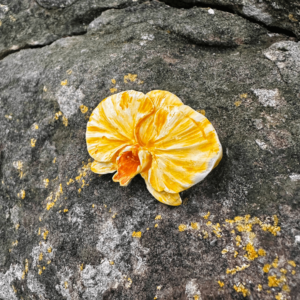 Pregadeira Cerâmica Orquídea