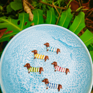 Pregadeira Cão Salsicha