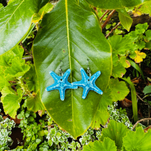 Brincos Estrela do Mar Turquesa | Porcelana