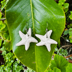 Brincos Estrela do Mar Branca | Grés